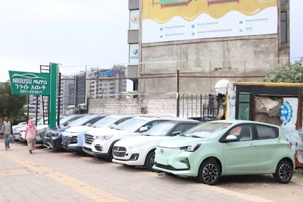 Electric Car Dealership in Addis Abeba